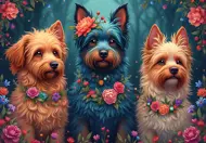 Puzzle Trio psov