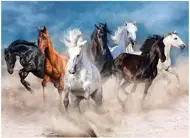 Puzzle Horses