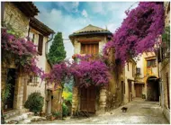 Puzzle Provence