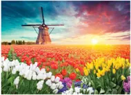 Puzzle Tulips And Windmill