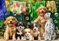 Puzzle Puppies, Laundry and Bird Antics