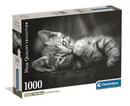 Puzzle Gattino