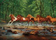 Puzzle Spring Creek Run