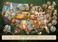 Puzzle Vtáky štátu Amerika
