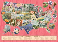 Puzzle Štátne kvety Ameriky