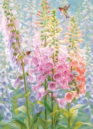 Puzzle Summer Rainbow