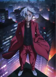 Puzzle Anime: Tokijski maščevalci