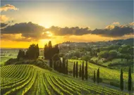 Puzzle Maremma vinice XXL