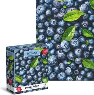 Puzzle Botany: Beautiful Blueberries