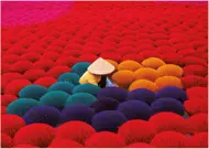 Puzzle Vietnam