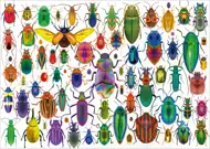 Puzzle Escarabajos