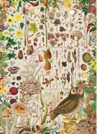 Puzzle Jesenná flóra