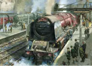 Puzzle Spotters at Carlisle