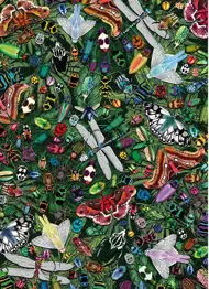 Puzzle Winged Wonders