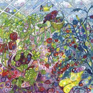 Puzzle Inside the Greenhouse