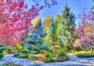 Puzzle Bosque colorido, Colorado, EE. UU.