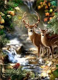 Puzzle Diamant painting: Deer and doe by a forest stream 30x40 cm