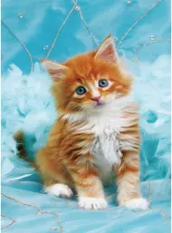 Puzzle Diamant painting: Red-haired kitten on a blue background 30x40 cm