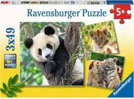 Puzzle 3x49 Panda, tiger a lev