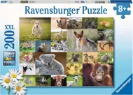 Puzzle Collage de animales bebés