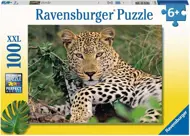 Puzzle Exotické zvíře: Leopard