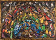 Puzzle Rainbow of Birds