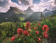 Puzzle Beautiful landscape