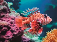 Puzzle Peixe-leão-de-fogo