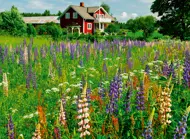 Puzzle Švédska farma, škandinávska