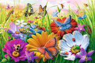 Puzzle Insects in the Meadow