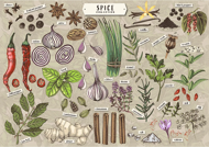 Puzzle Premium Plus Finders Keepers: Spices