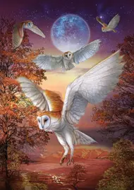Puzzle Moonlight Owls