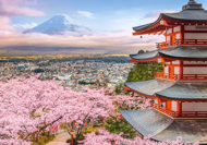 Puzzle  Wiosna w Japonii