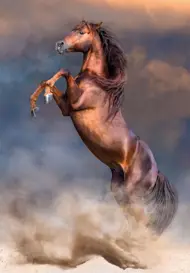 Puzzle Big Red Stallion