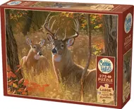 Puzzle Tajné stretnutie