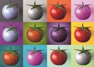 Puzzle Pop Art: Paradajky