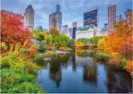 Puzzle Central Park
