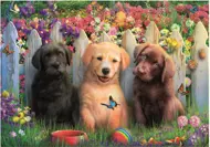 Puzzle Pózovanie šteniatok