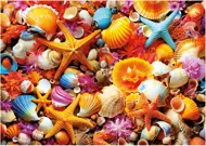 Puzzle Shell Collage