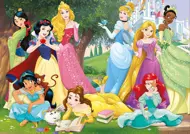 Puzzle Disney-Prinzessinnen