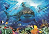 Puzzle Veľký biely žralok