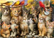 Puzzle Kittnes and Birds