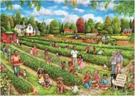 Puzzle Zber jahôd