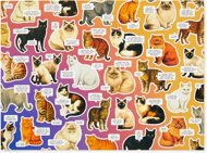 Puzzle Náladové mačky