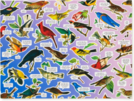 Puzzle Uccelli salati