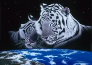 Puzzle Schim Schimmel: Pokojne spi