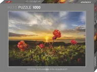 Puzzle Rikardsen: Morušky