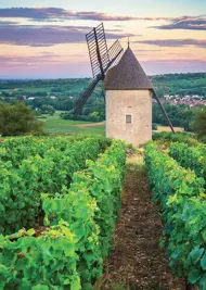 Puzzle Moulin Sorine - Vignoble de Santenay - Bourgogne