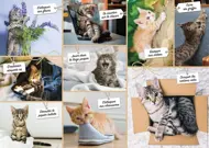 Puzzle Bláznovstvo mačiek