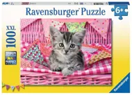 Puzzle Süßes Kätzchen
